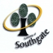 Township of Southgate