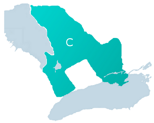 Region C